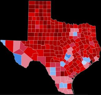 Texas red blue county map.JPG